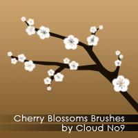 Cherry
 Blossoms Brushes by cloud-no9 photoshop resource collected by psd-dude.com from deviantart