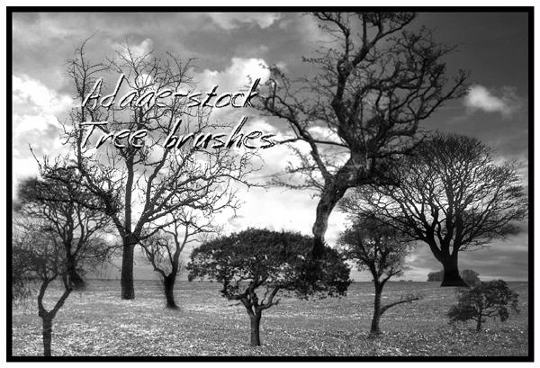 Tree
 brushes by Adaae-stock photoshop resource collected by psd-dude.com from deviantart