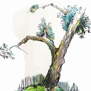<span class='searchHighlight'>Tree</span> DeviantArt Brushes psd-dude.com Resources