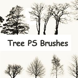 <span class='searchHighlight'>Tree</span> Ps Brushes psd-dude.com Resources
