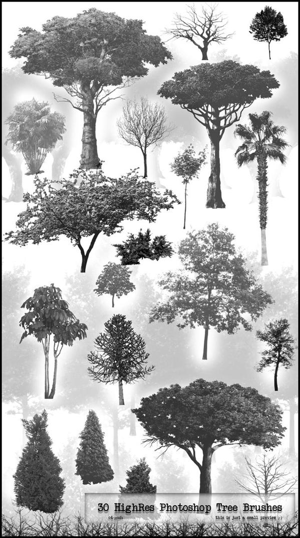 30
 PS HighRes Tree Brushes by zigshot82 photoshop resource collected by psd-dude.com from deviantart