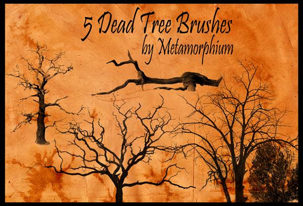 5
 Dead Tree Brushes by Metamorphium photoshop resource collected by psd-dude.com from deviantart