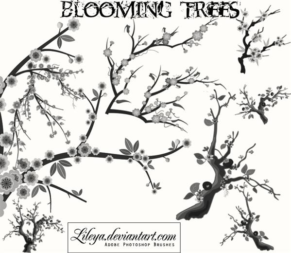 Blooming
 Trees by Lileya photoshop resource collected by psd-dude.com from deviantart