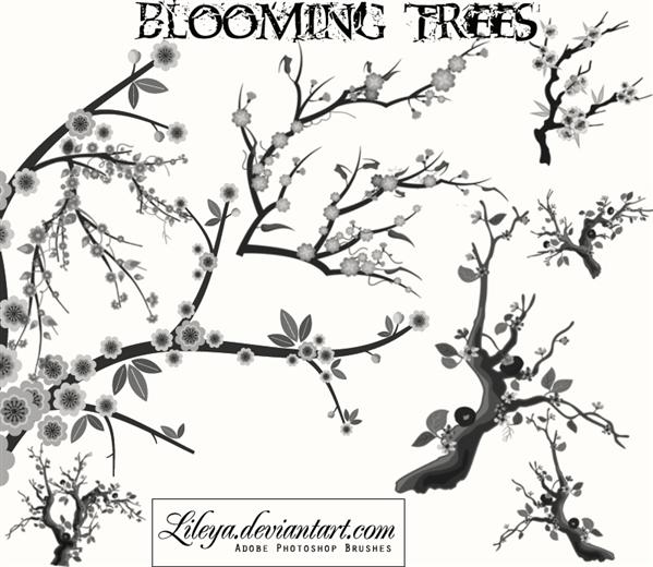 Blooming
 Trees by Lileya photoshop resource collected by psd-dude.com from deviantart