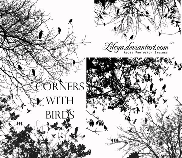 Corners
 with Birds by Lileya photoshop resource collected by psd-dude.com from deviantart