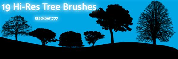 HiRes
 Tree Brushes by blackbelt777 photoshop resource collected by psd-dude.com from deviantart