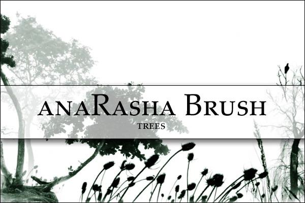 Tree
 brush 2 by anaRasha-stock photoshop resource collected by psd-dude.com from deviantart