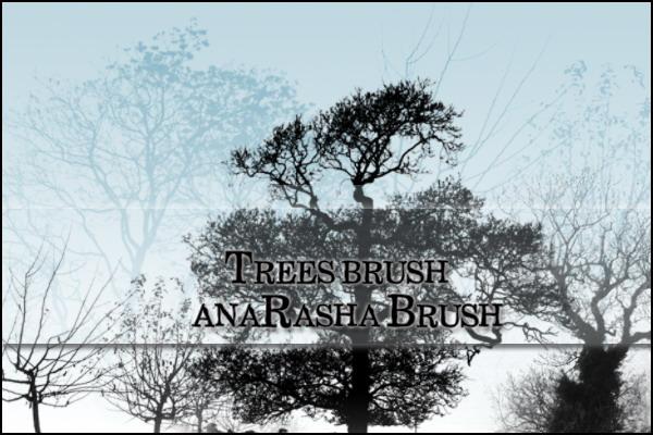 tree
 brush by anaRasha-stock photoshop resource collected by psd-dude.com from deviantart