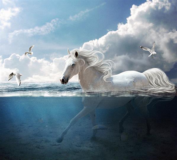 Riding Horse In Water Photoshop Manipulation