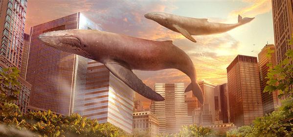 Satory Whales in City Photo Manipulation