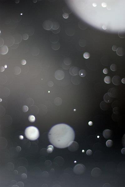 snow bokeh texture