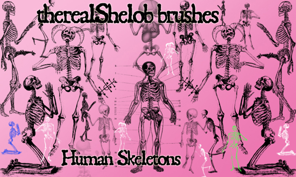 Human Skeletons Photoshop Brushes For Halloween