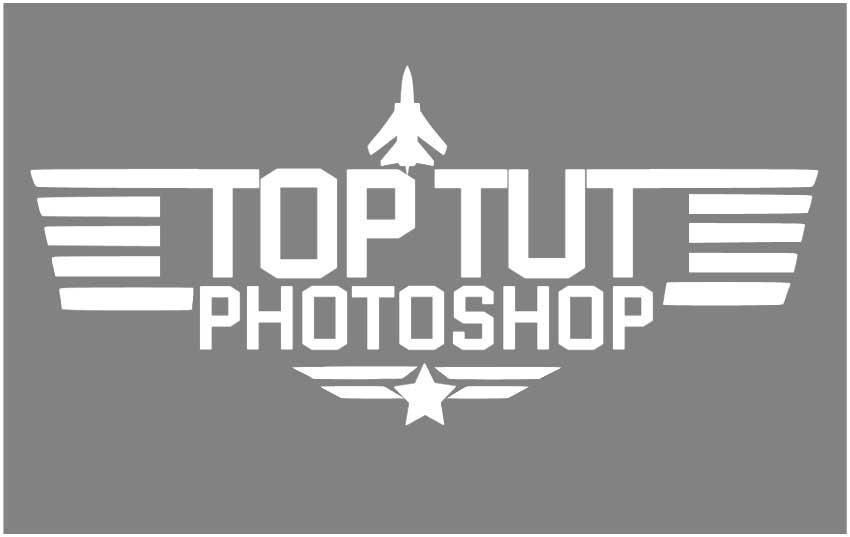 Top Gun Logo PNG